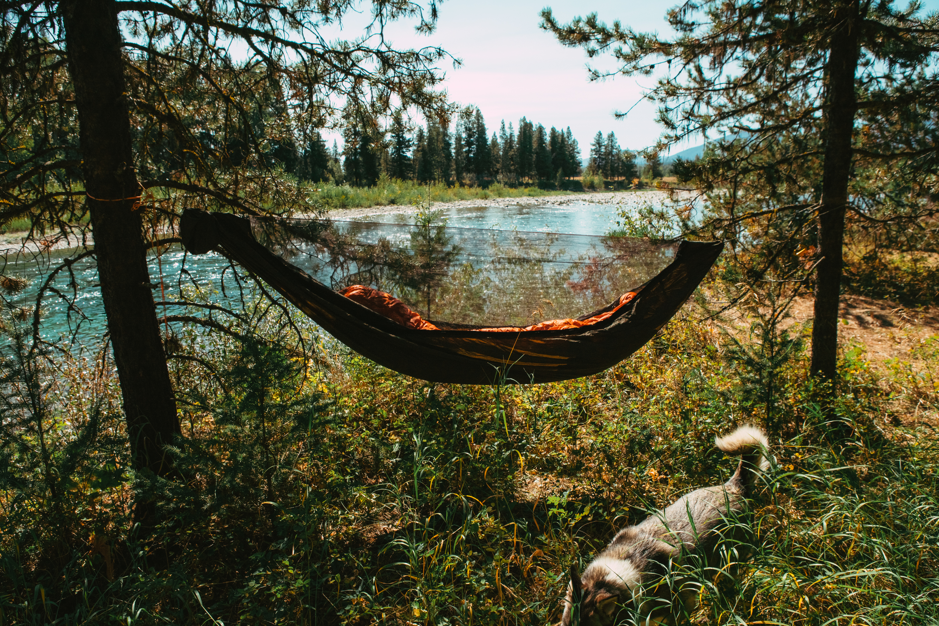 Tent with hammock outlet inside