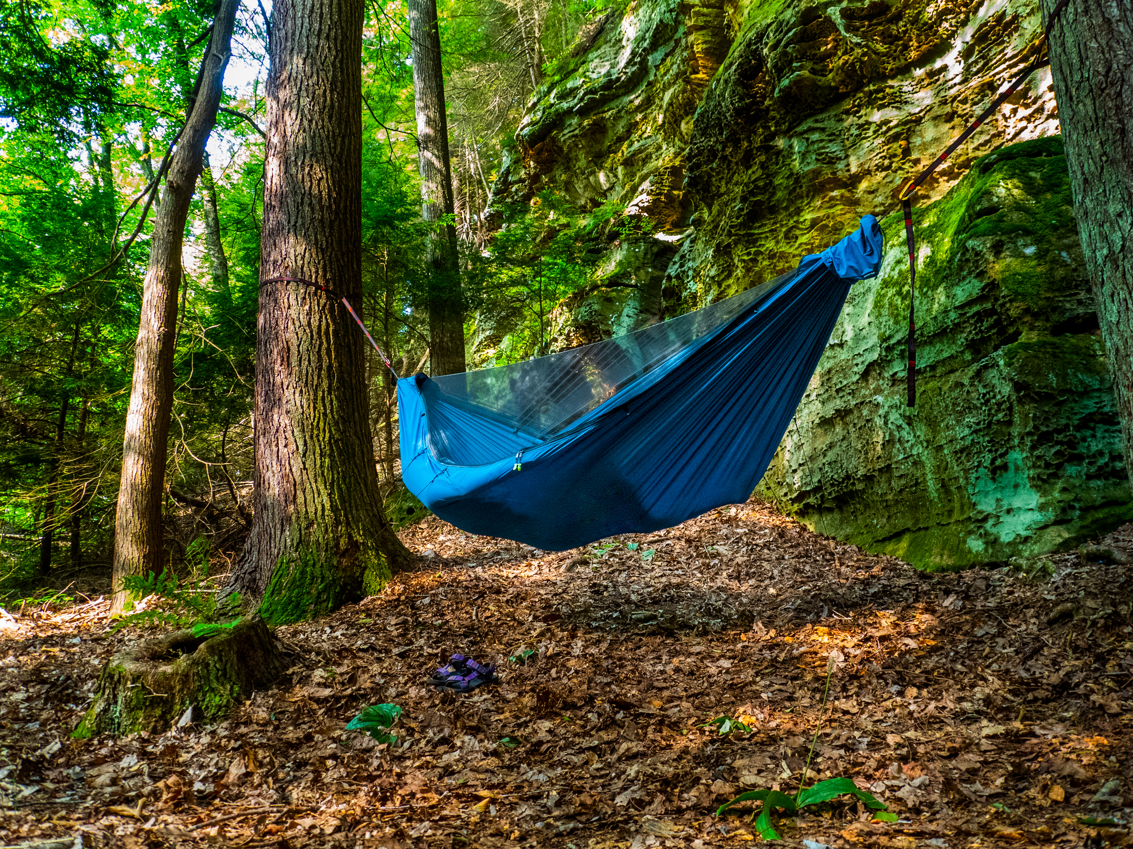 Camping Essentials: The Gear You Need for Success in the Outdoors – Bug  Bite Thing