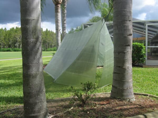 Palace Tarp - Image 3