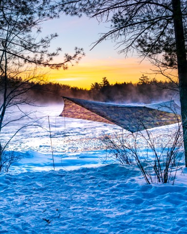 Palace Tarp - Image 19