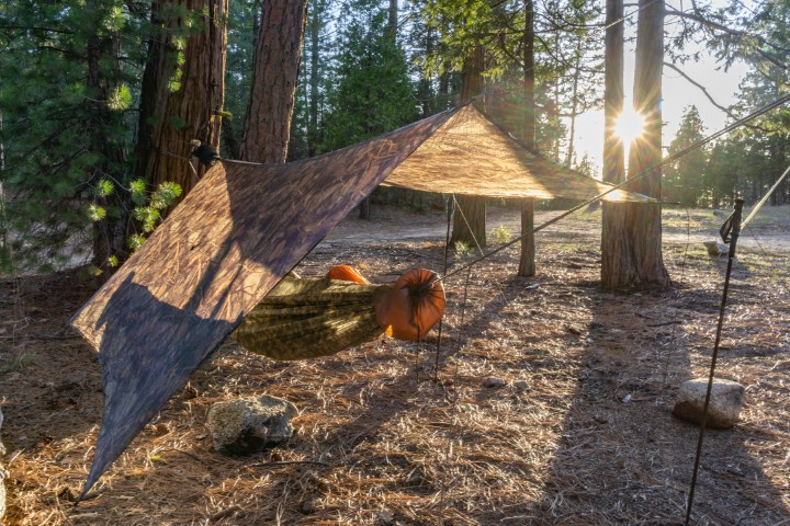 Palace Tarp - Image 15