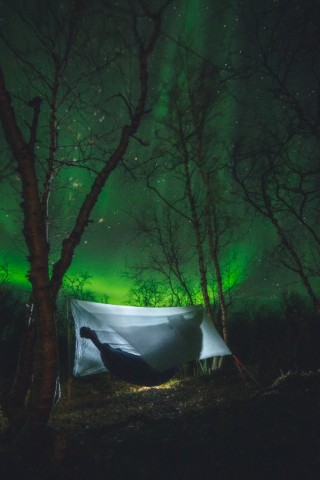 Palace Tarp - Image 14