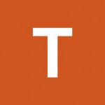 Burnt Orange Taffeta T