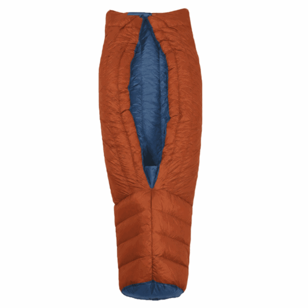 orange and blue burrow