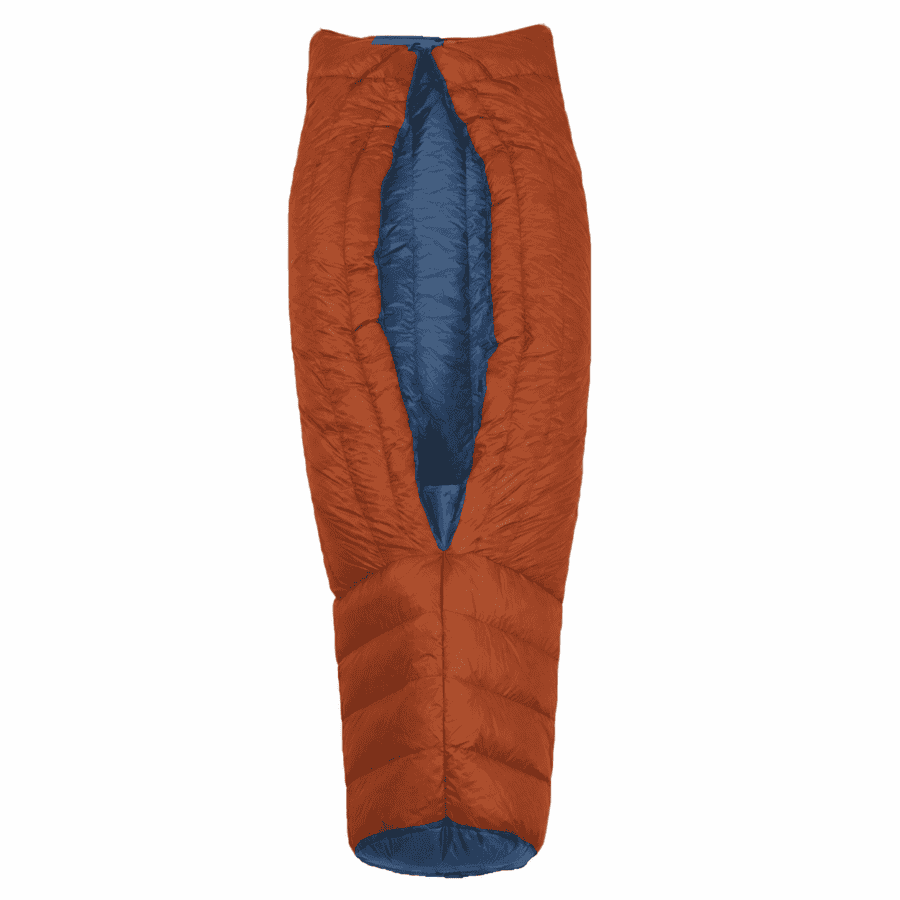 orange and blue burrow
